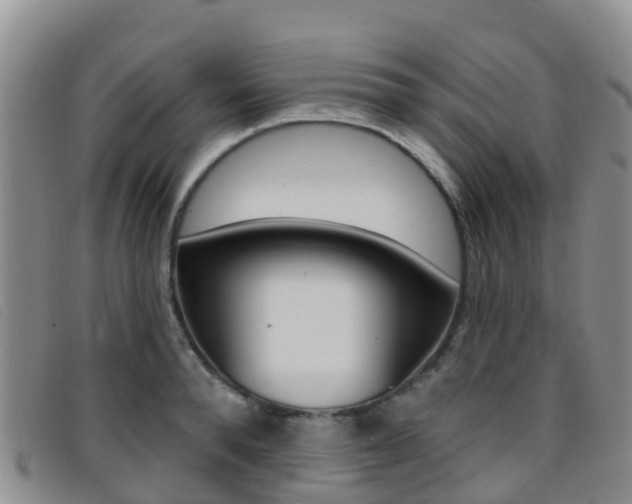 X0000096720896200802051057
