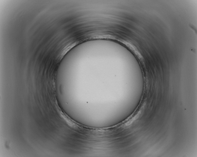 X0000096720897200802051057