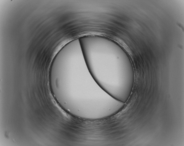 X0000096720898200802051057