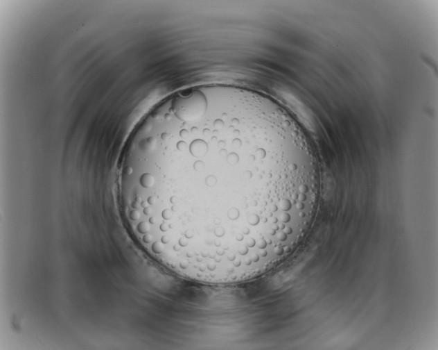 X0000096720899200802051057