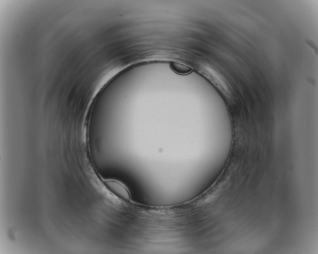 X0000096720900200802051057