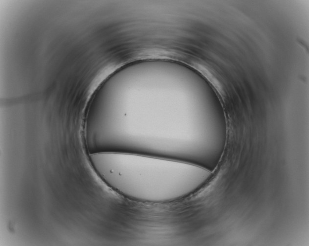 X0000096720901200802051057