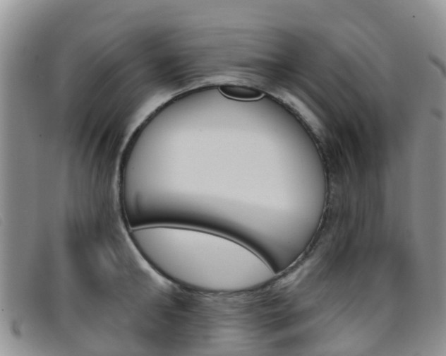 X0000096720902200802051057
