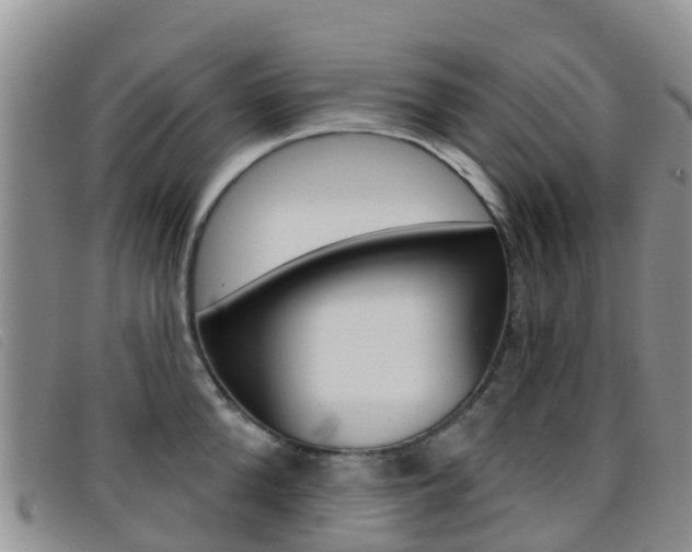 X0000096720904200802051057