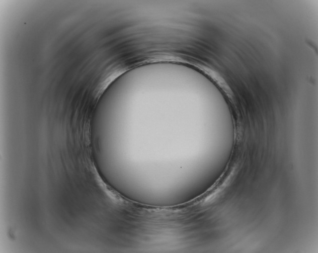 X0000096720905200802051057