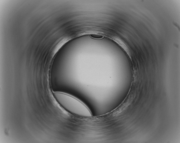 X0000096720906200802051057