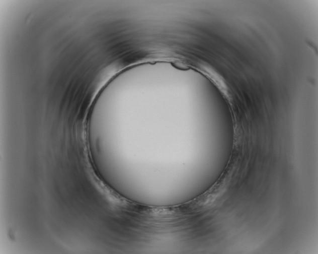 X0000096720907200802051057