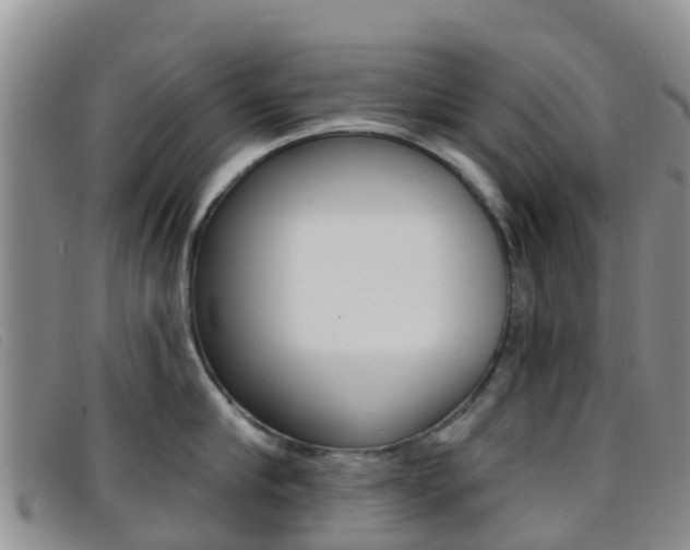X0000096720910200802051057