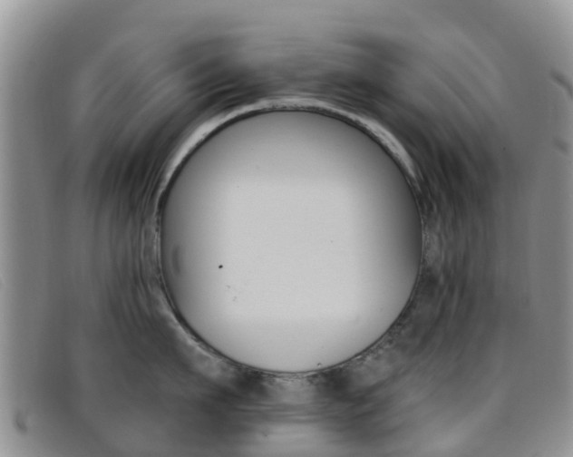 X0000096720911200802051057