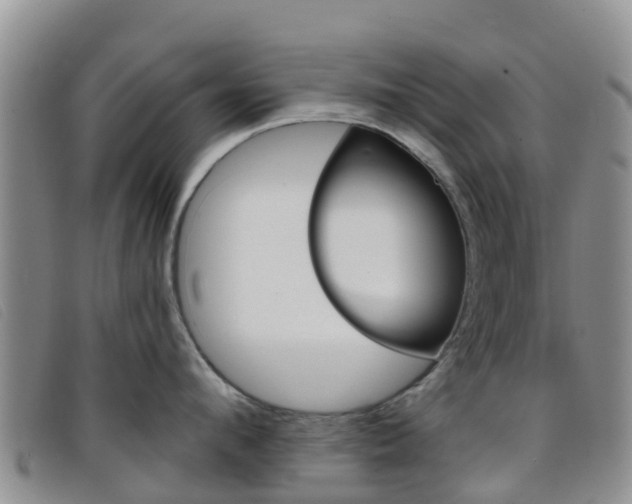 X0000096720912200802051057