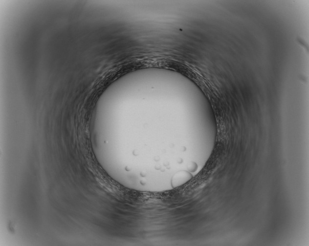 X0000096720913200802051057