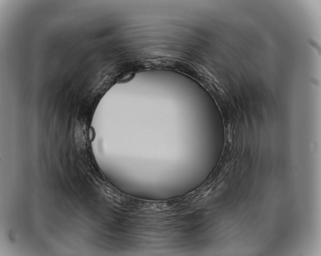 X0000096720915200802051057