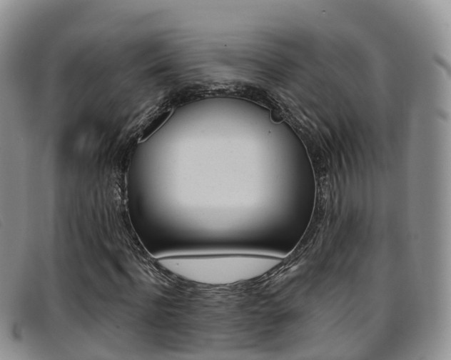 X0000096720916200802051057