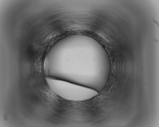 X0000096720917200802051057
