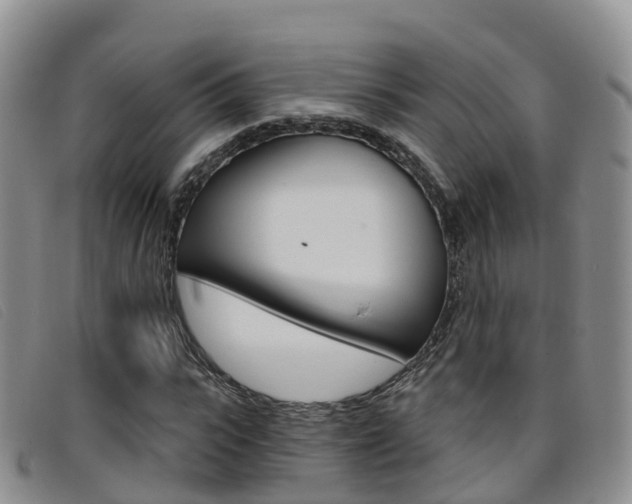 X0000096720919200802051057