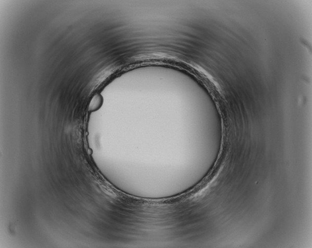 X0000096720921200802051057