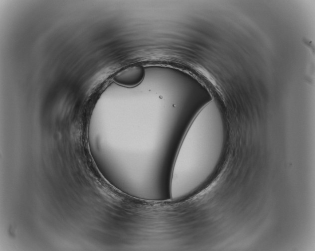 X0000096720922200802051057