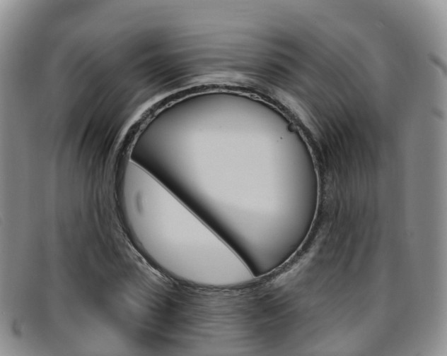 X0000096720923200802051057