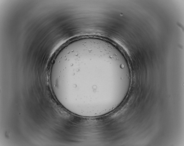 X0000096720925200802051057
