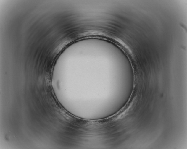 X0000096720929200802051057