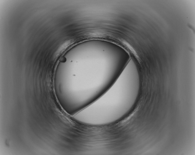 X0000096720930200802051057