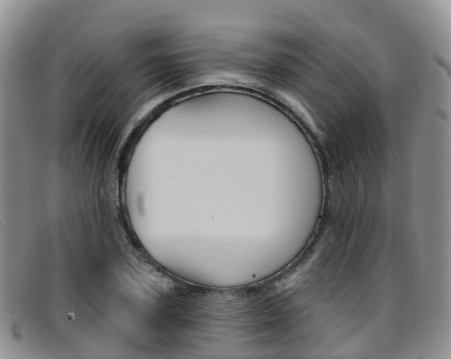 X0000096720931200802051057