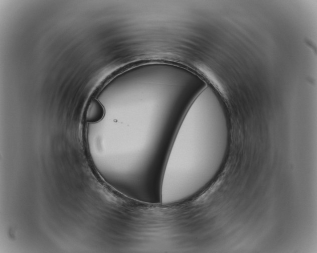 X0000096720932200802051057