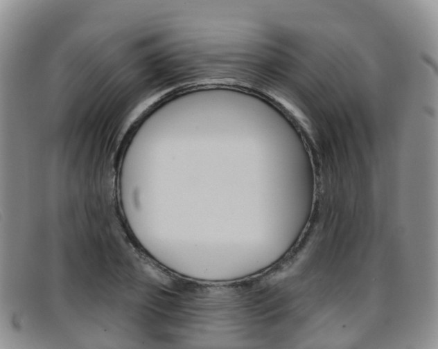 X0000096720933200802051057