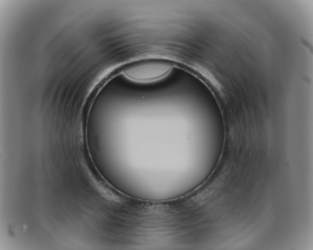 X0000096720934200802051057
