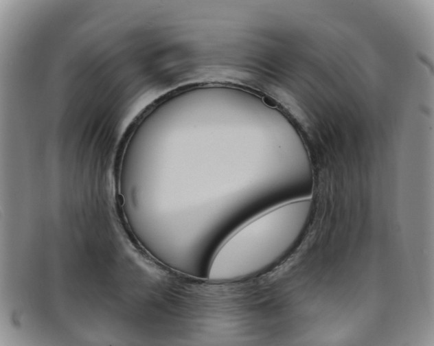 X0000096720936200802051057