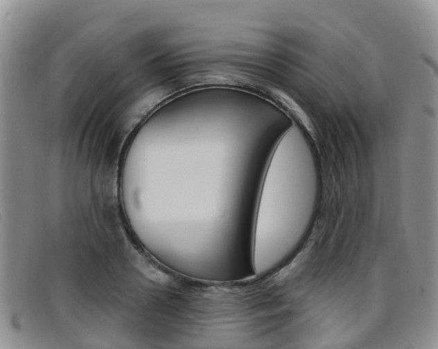 X0000096720938200802051057