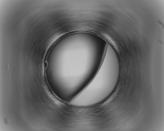 X0000096720940200802051057