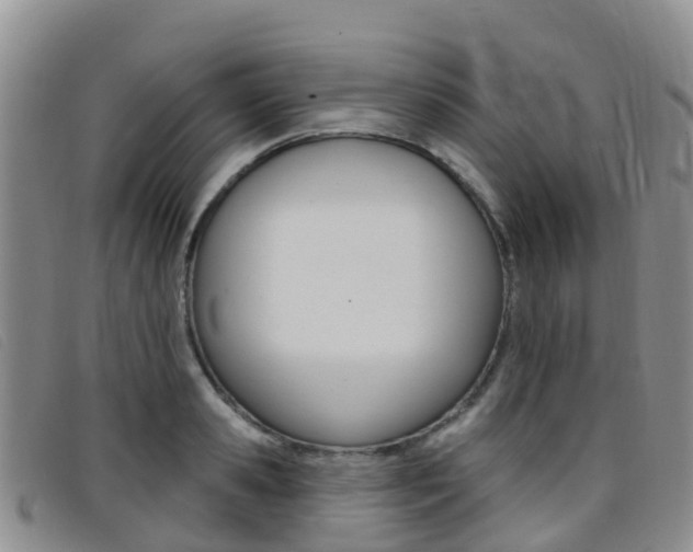X0000096720941200802051057