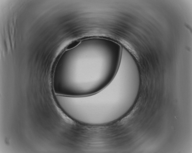 X0000096720942200802051057