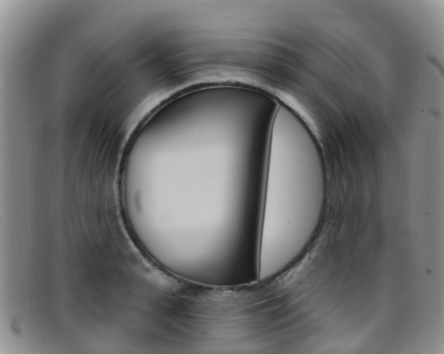 X0000096720943200802051057