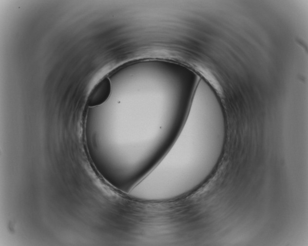 X0000096720944200802051057