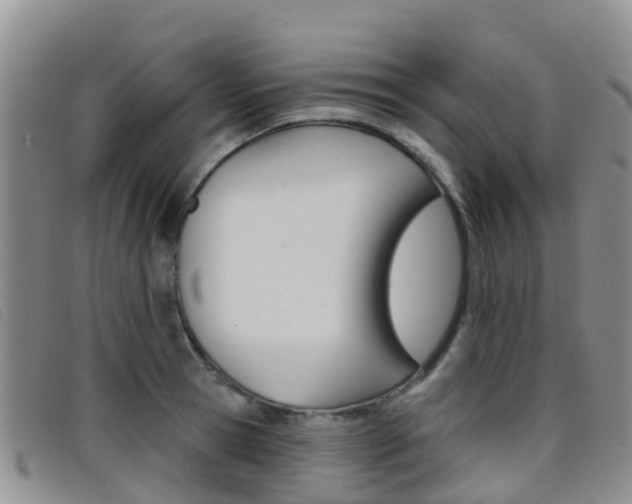 X0000096720945200802051057