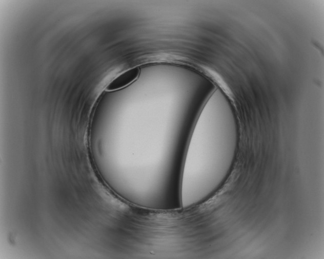 X0000096720946200802051057