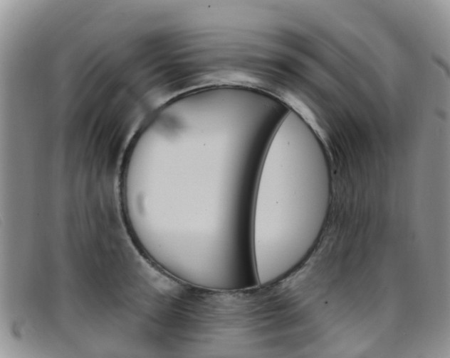 X0000096720947200802051057