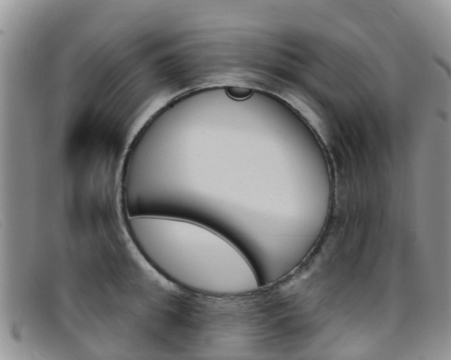X0000096720949200802051057
