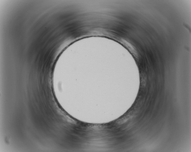 X0000096720950200802051057