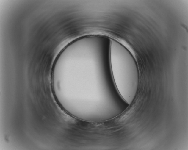 X0000096720951200802051057