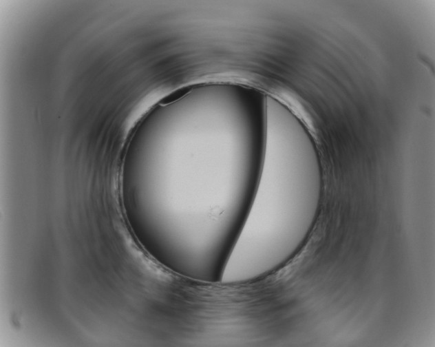 X0000096720952200802051057