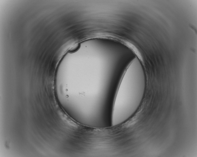 X0000096720954200802051057