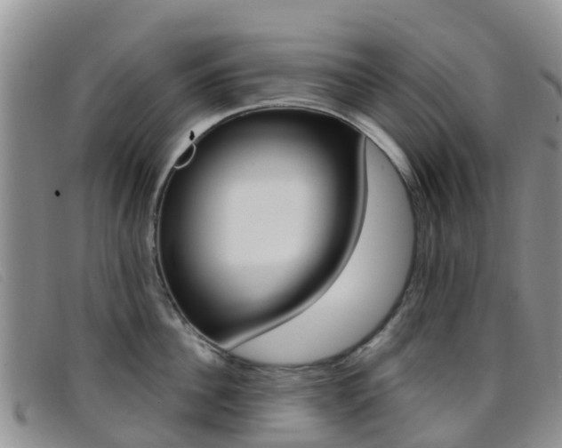 X0000096720956200802051057