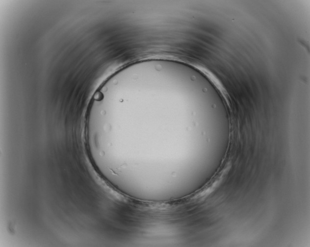 X0000096720957200802051057