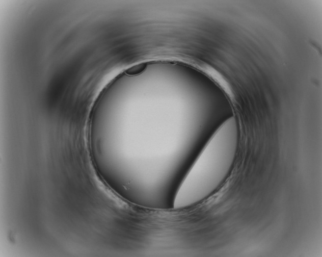 X0000096720958200802051057