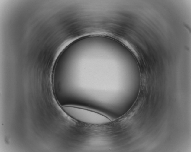 X0000096720959200802051057