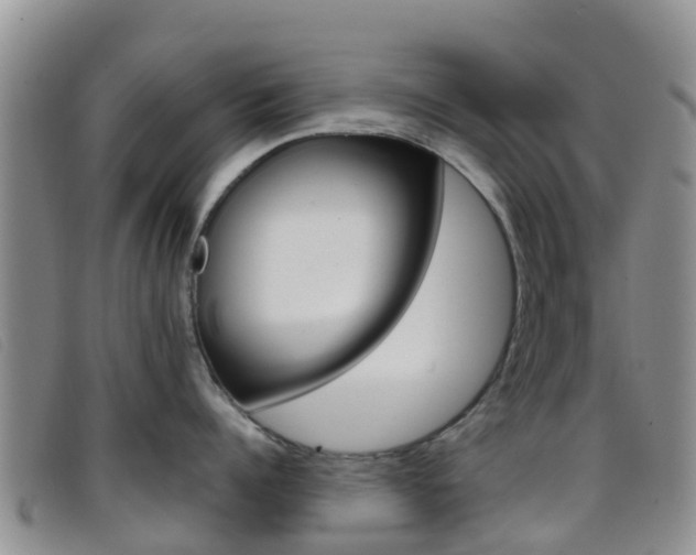 X0000096720960200802051057