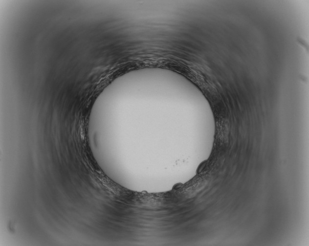 X0000096720962200802051057